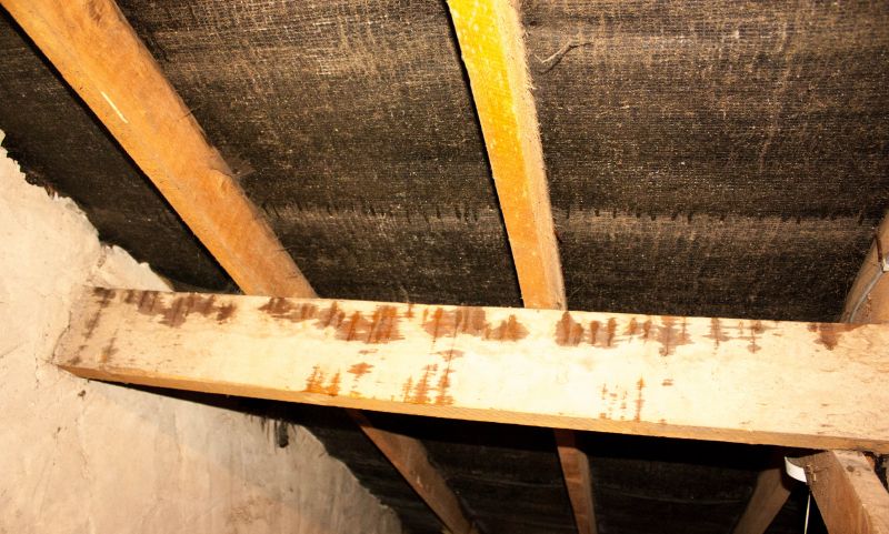 Building Repair Service in Katy, TX
